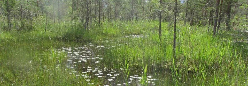 Piipsan tuulivoimahanke on alueellisesti merkittävä